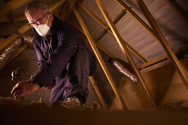 Types of Insulation We Offer in Millersville, TN